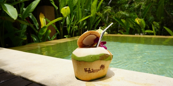thailand - koh kood_high season_privat pool