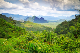 thailand - khao sok nationalpark_23