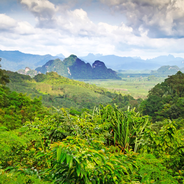 thailand - khao sok nationalpark_23