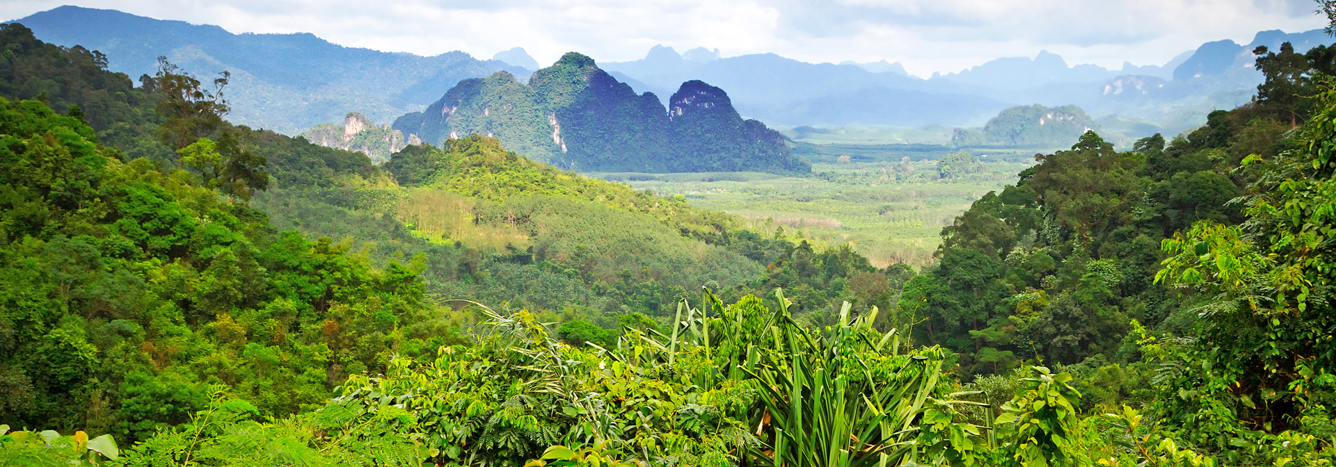thailand - khao sok nationalpark_23
