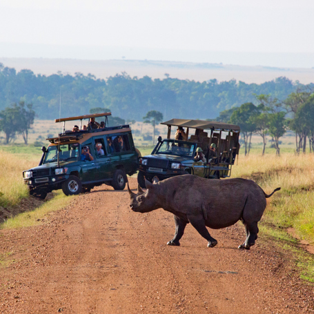 kenya_masai_mara_naesehorn_01