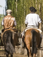 australien - pampas_gaucho_01