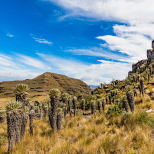 colombia - medellin_paramo_01