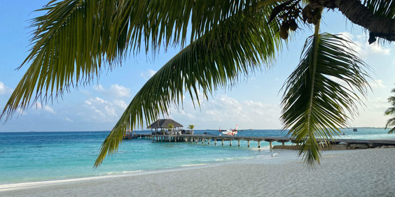 Maldiverne Lux South Ari Atoll Hav Med Flyver