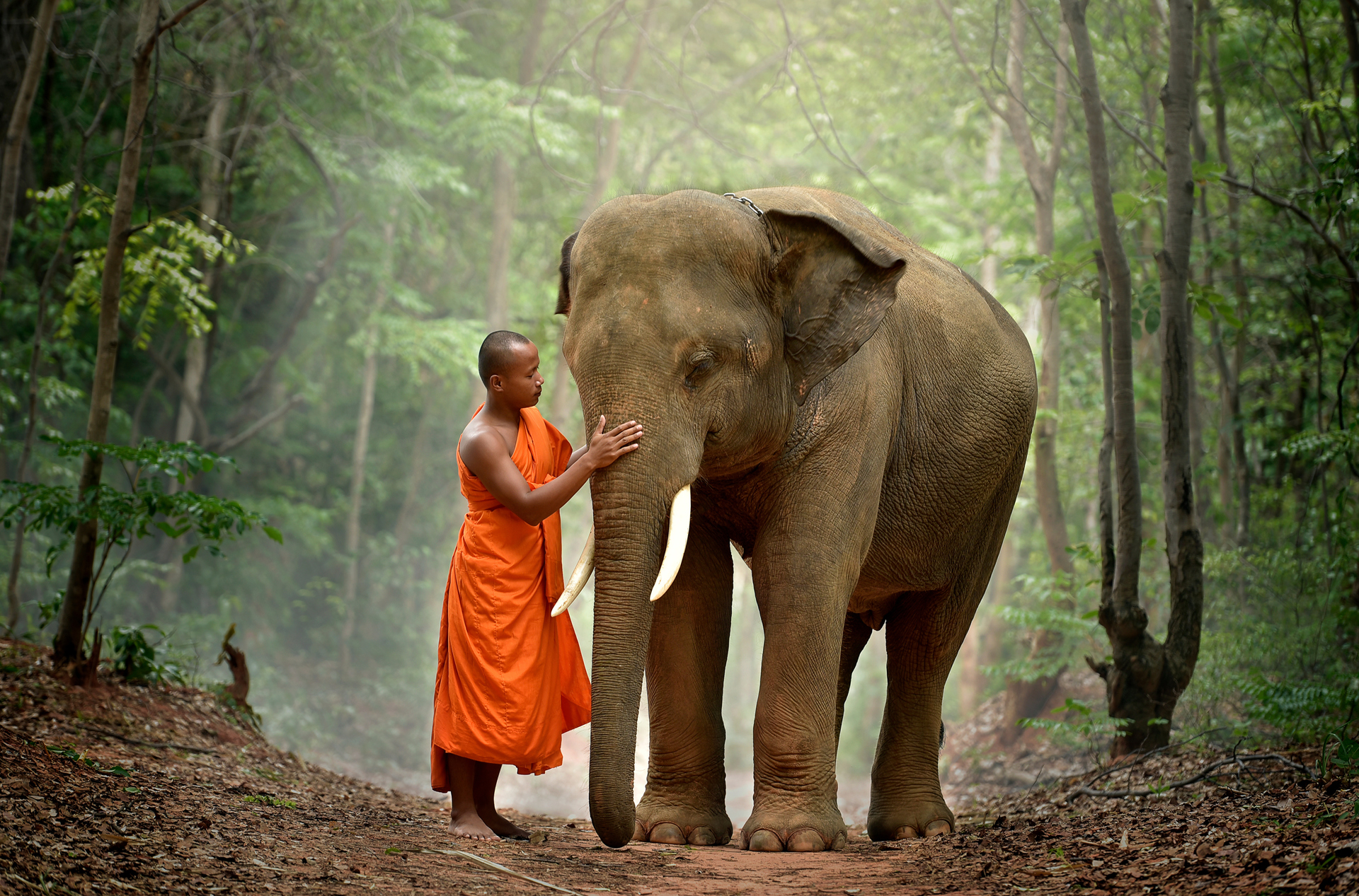 Cambodia 103