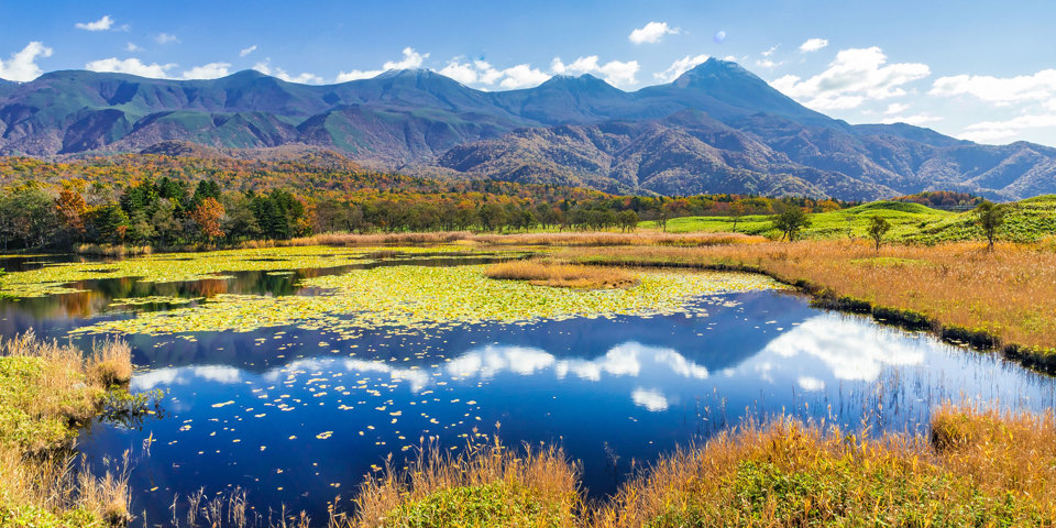 Hokkaido Shiretoko National Park Efterår