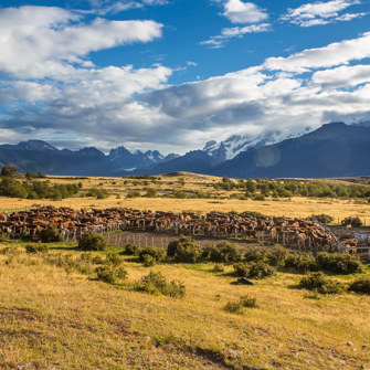 Nipebo Ranch8