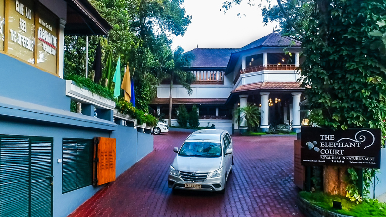 Periyar The Elephant Court 07