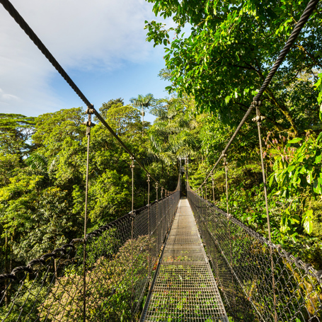 costa rica - monteverde_jungle_haengende_bro_18