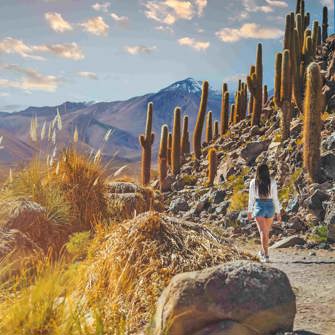 NAA Cactus Hike