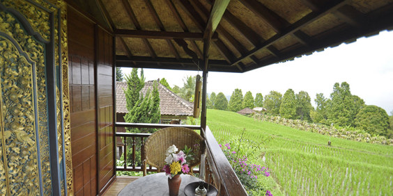 bali - munduk - puri lumbung cottage_standard room udsigt