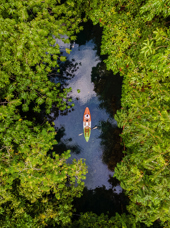Krabi Kayaking Jungle 2401689485