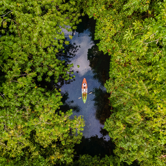 Krabi Kayaking Jungle 2401689485