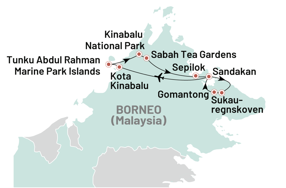Borneo Ultimative Naturoplevelser 2025