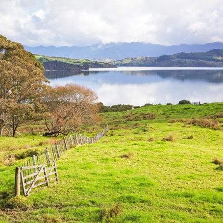 new zealand - hokianka_landskab_01