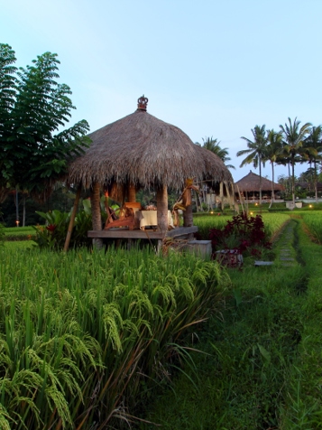 bali - mathis_retrat_rismarker_05