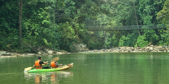 Rompin Rainforest Lodge 06