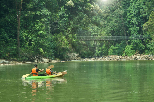 Rompin Rainforest Lodge 06
