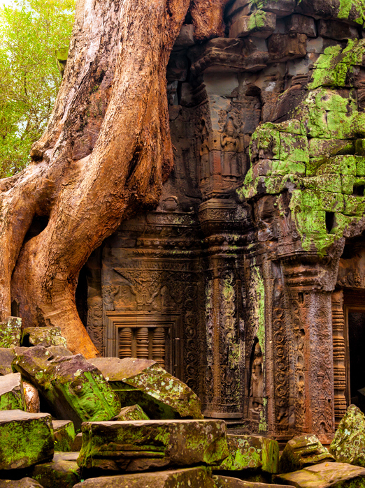 Ta Prohm Adobestock 149809642