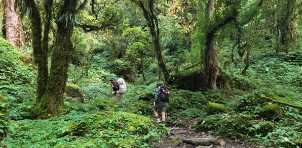 På vej til bjerglandsbyen Ghandruk tæt på Himalaya vandrer vi det sidste stykke op til landsbyen.