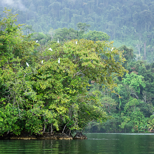 rio dulce_01