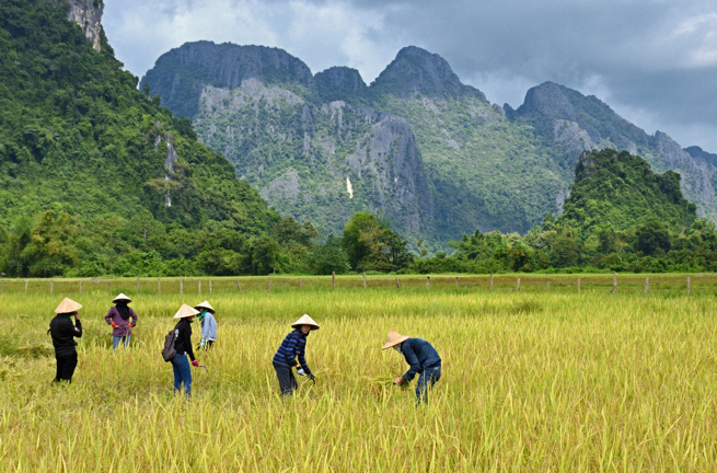 cambodia - luang prabang_land farm_04
