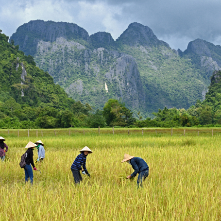 cambodia - luang prabang_land farm_04
