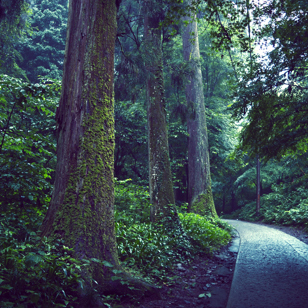 Mount Takao Vandresti GI 1297426349