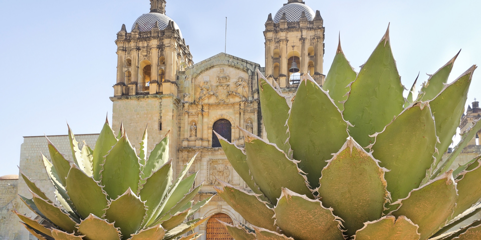 mexico - oaxaca katedral_01
