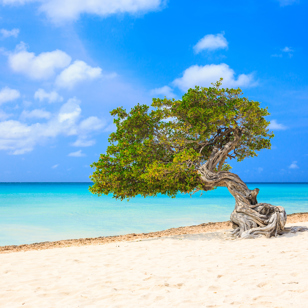 Aruba_beach_02