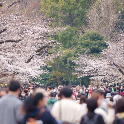 Ueno Park Tokyo