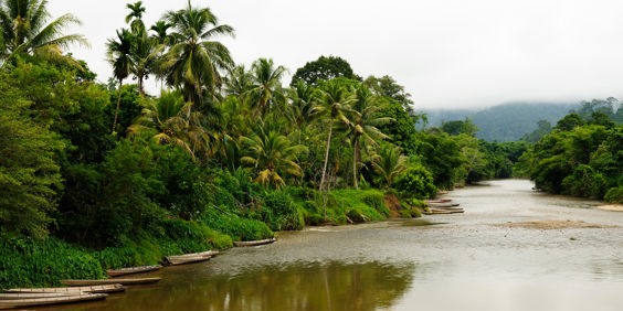 malaysia/borneo - borneo_mahak river_01