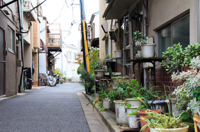 Yanaka Village 509664844