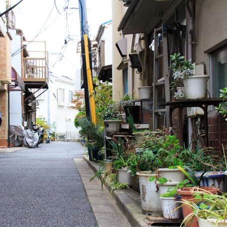 Yanaka Village 509664844