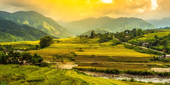 vietnam - sapa_rismark_04