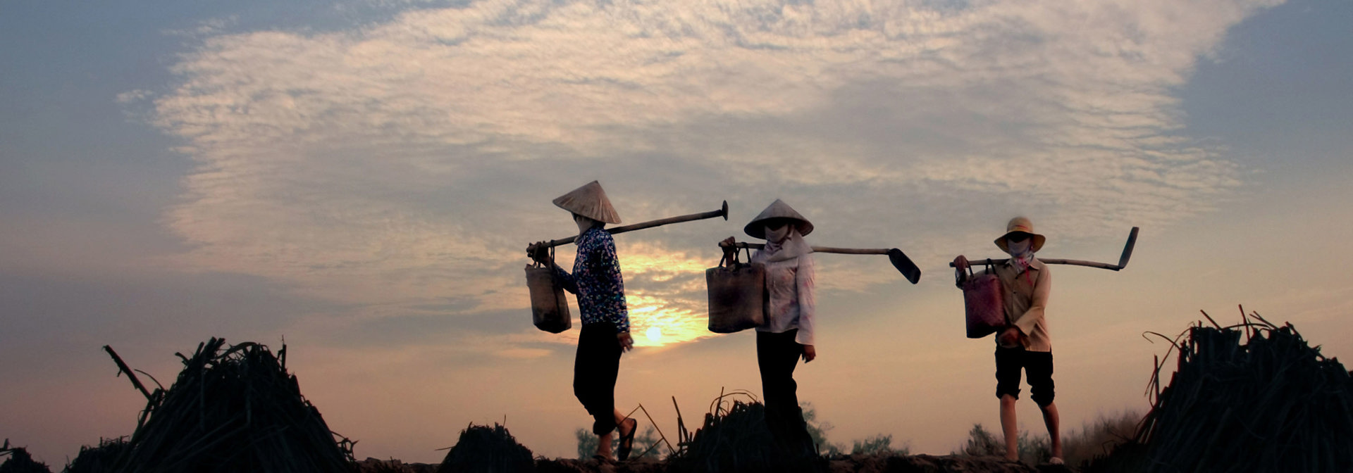 Vietnam - vietnam_befolkning_kvinde_farmer_01