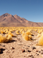 Atacama Ørkenlandskab