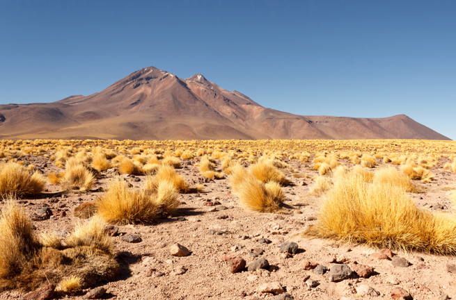 Atacama Ørkenlandskab