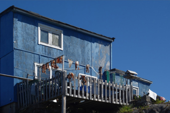 Qaqortoq Hus 07