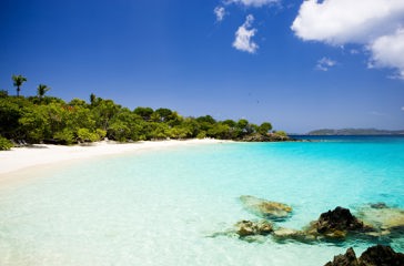 dansk vestindien - st john_turtle bay_01
