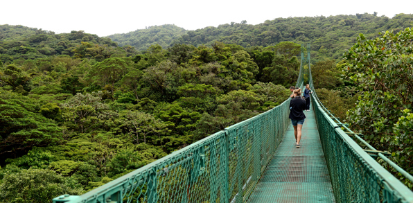 costa rica - monteverde_jungle_haengende_bro_03