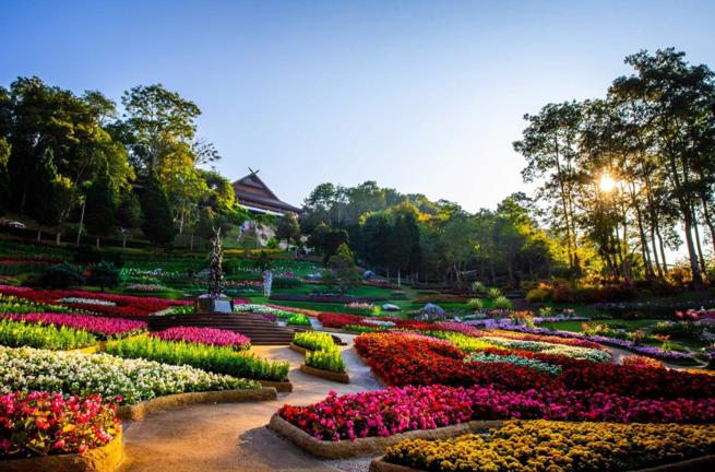 Doi Mae Salong & Doi Tung 3