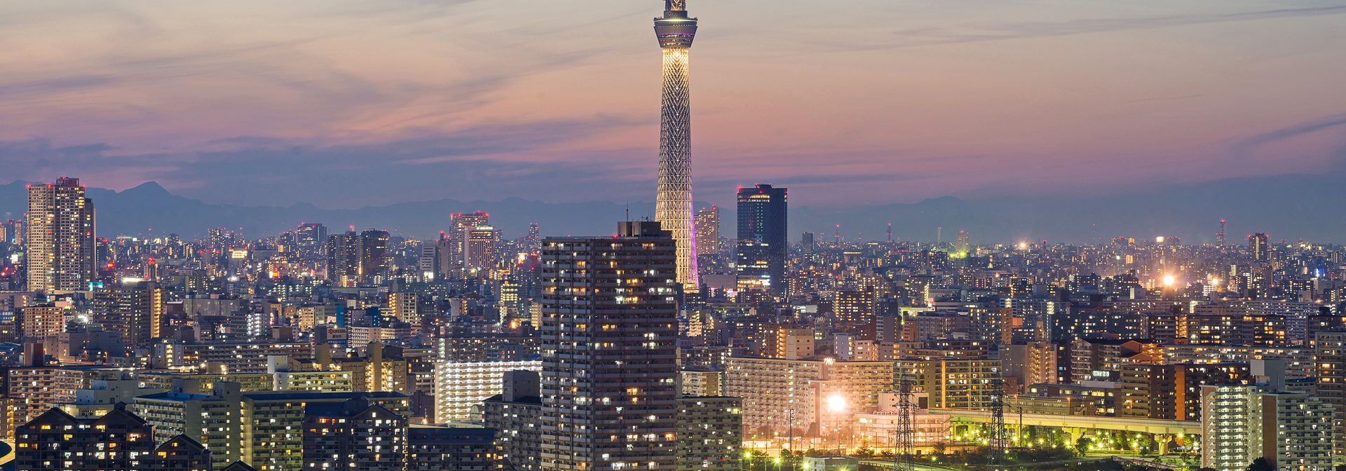 japan - tokyo_skyline_01