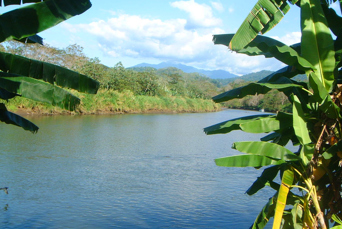 costa rica - rio grande tarcoles_alligator_02
