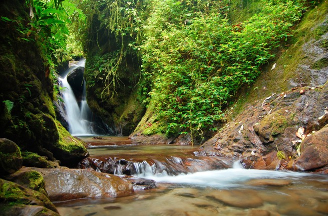 ecuador_amazonas_vandfald_01