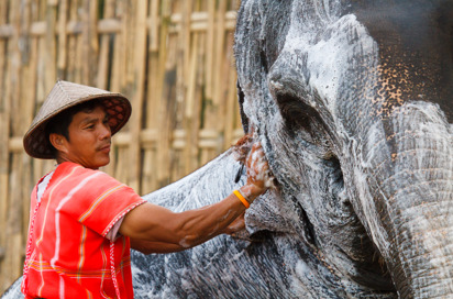 thailand - khao sok_elephant hills_elefanter_10