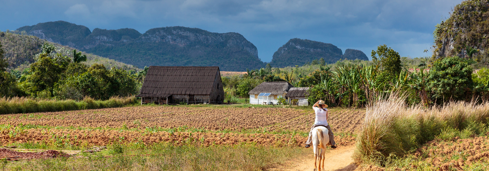 cuba - vinales_udsigt_hest_01