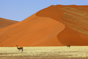 Kontraster i Namibias Ørken