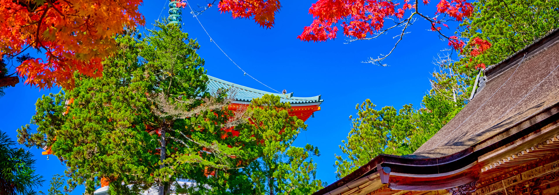 Koyasan03