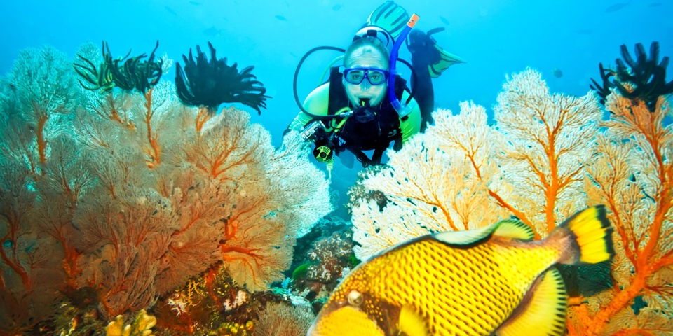 thailand - thailand_dykning_03